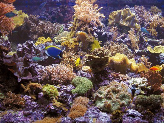 el Acuario de Getxo