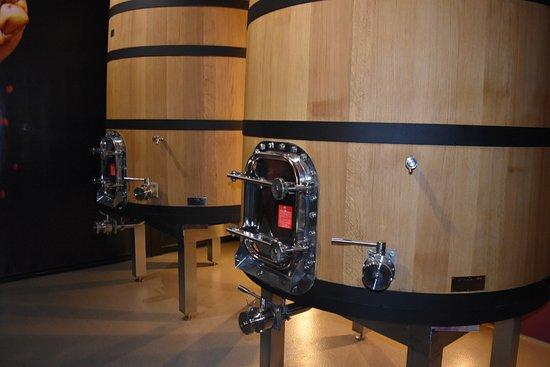 Bodega D Luis R