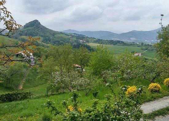 Saretxo