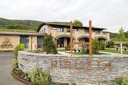 Hiruzta