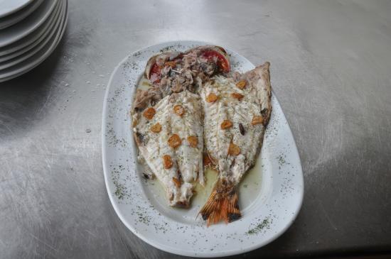 Zubi-Ondo